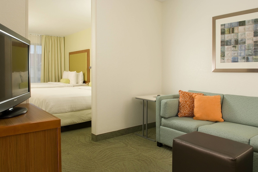 SpringHill Suites by Marriott Convention Center I drive - photo 7