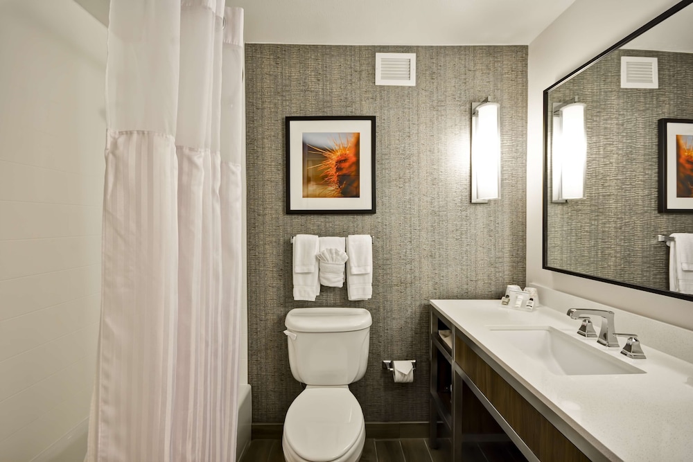 Hilton Garden Inn Austin Round Rock - photo 25