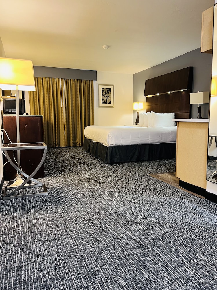 Quality Inn & Suites Caribou - photo 16