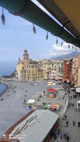 Blue Windows in Camogli, Italy