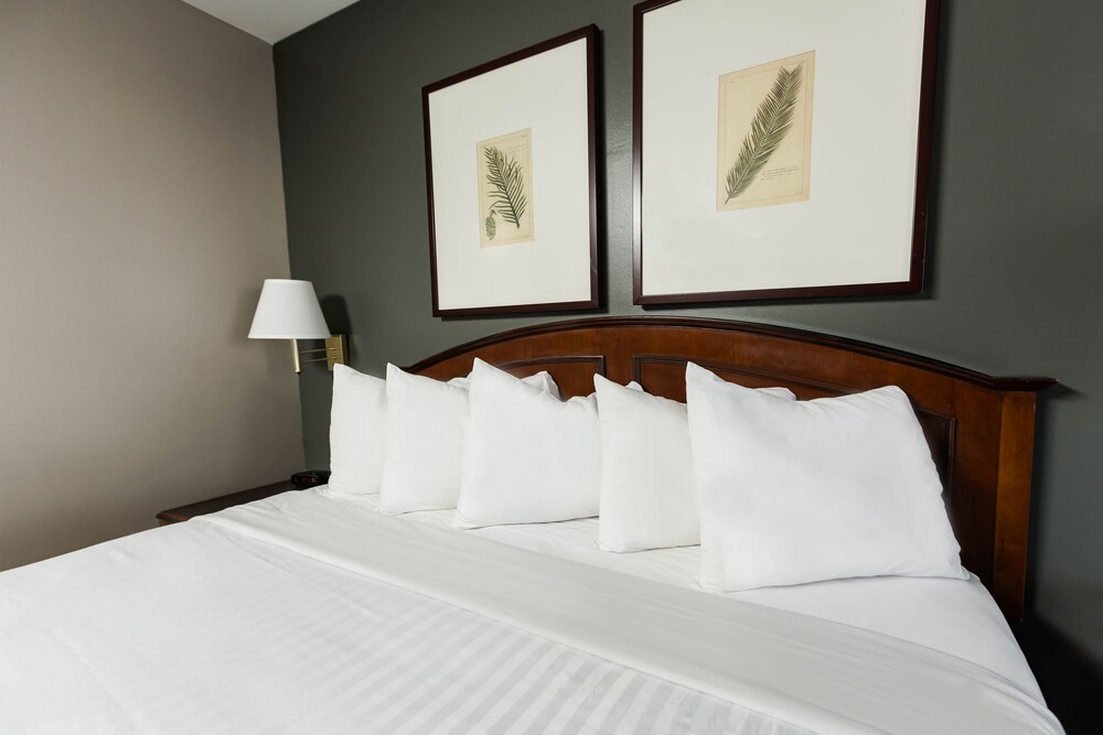 Vagabond Inn Oxnard - photo 8