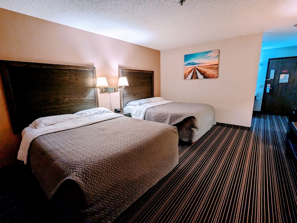 Woodfield Inn and Suites - photo 7