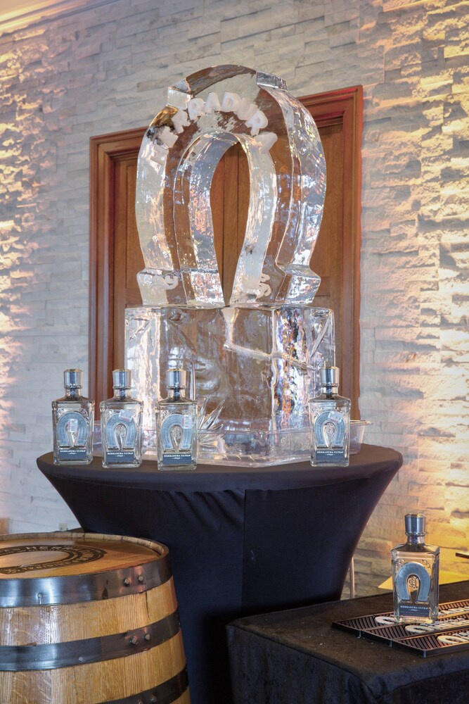 Marriott Dallas Las Colinas - photo 35