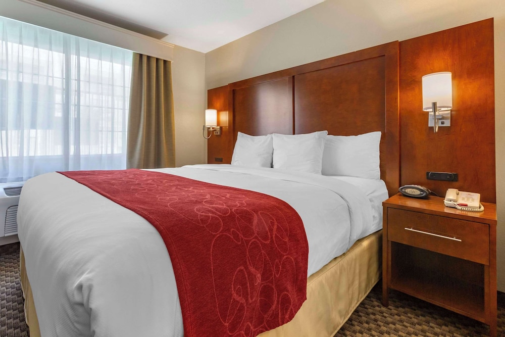 Spark by Hilton Tempe Phoenix Airport - photo 5