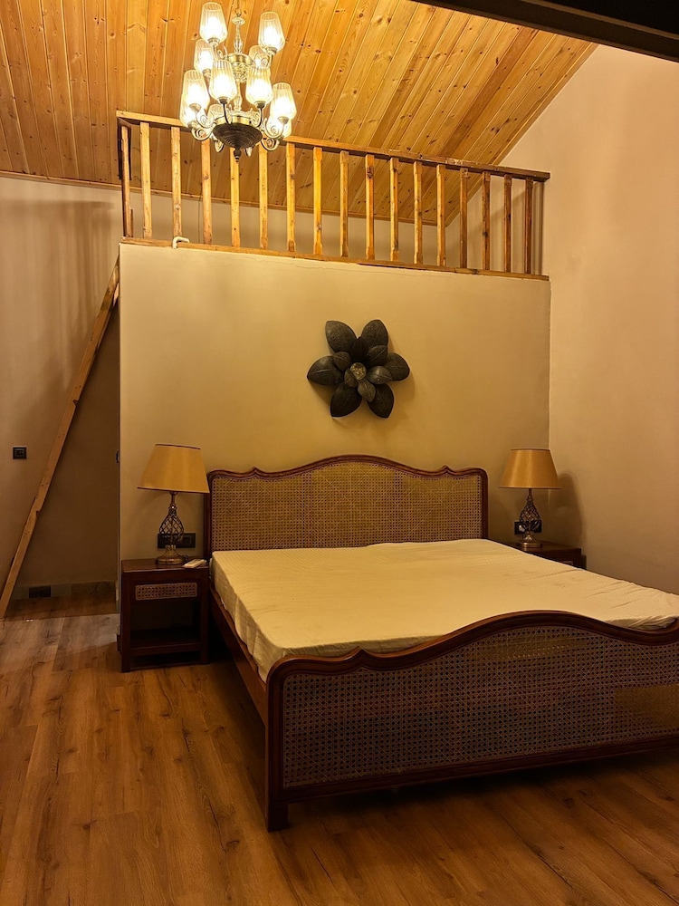 Pax & Opis — Dehra Dun — photo 4