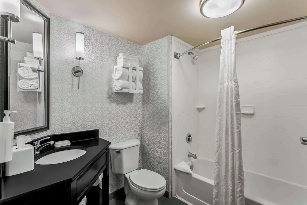 Hampton Inn Bowie - photo 24