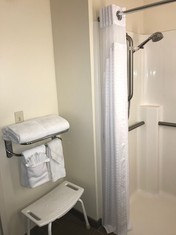 Holiday Inn & Suites Ann Arbor Univ Michigan Area by IHG - photo 30