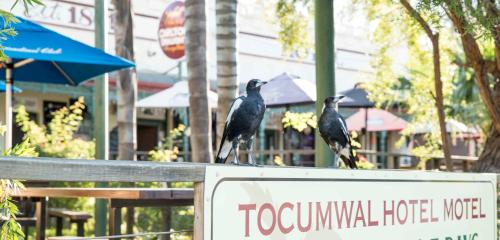 Tocumwal Motel in Tocumwal, Australia
