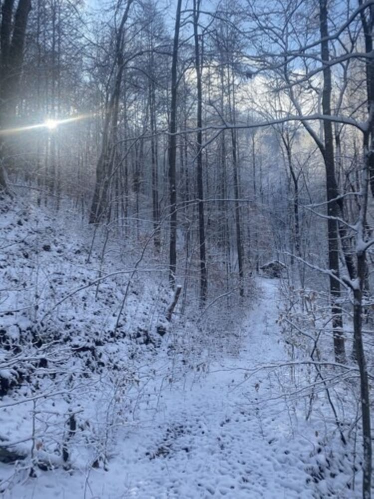 Fox Run Resort - photo 35
