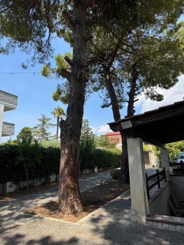 Villa Nina — 4-Star Luxury Hotel in Pulsano, Italy