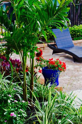 Sea Turtle Inn - photo 38