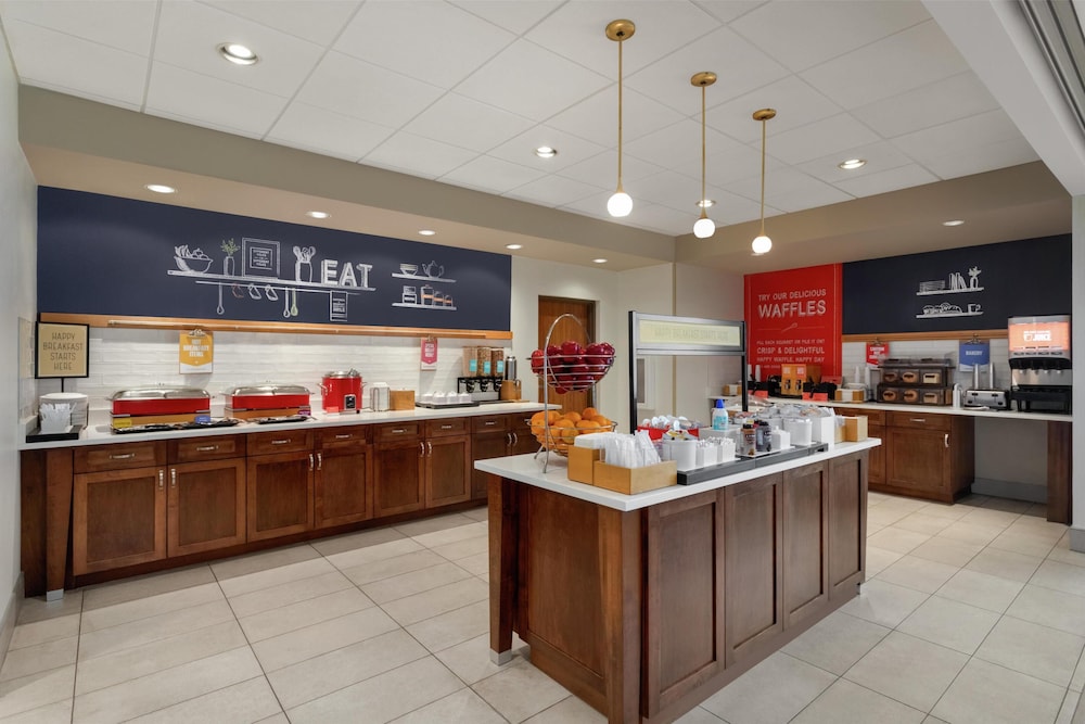 Hampton Inn & Suites Tampa Busch Gardens Area - photo 41