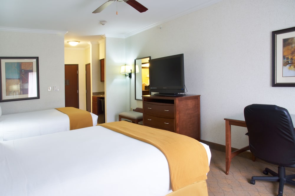 Holiday Inn Express & Suites Lufkin South by IHG - photo 8