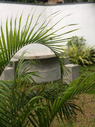 Luvi s Villa — 4-Star Luxury Hotel in Galle, Sri Lanka