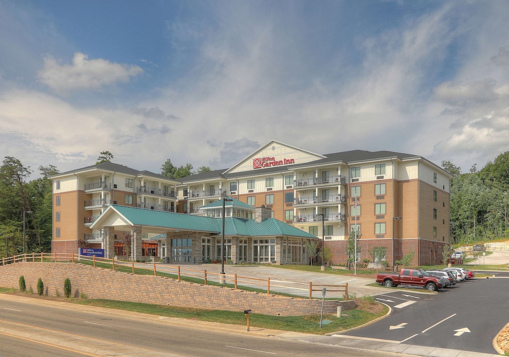 Hilton Garden Inn Pigeon Forge - photo 85