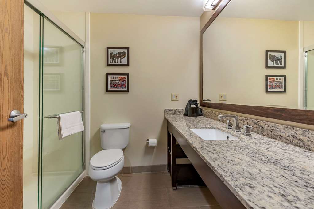 Comfort Suites Mason near Kings Island - photo 8