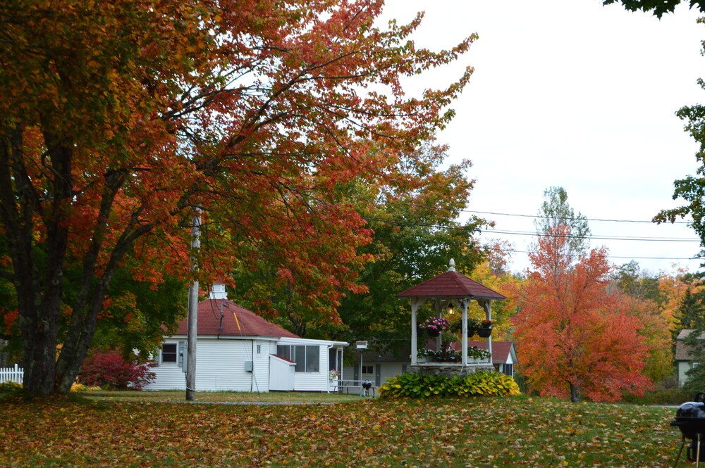 Eden Village Motel & Cottages - photo 30