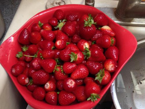 Nettles Farm - photo 17