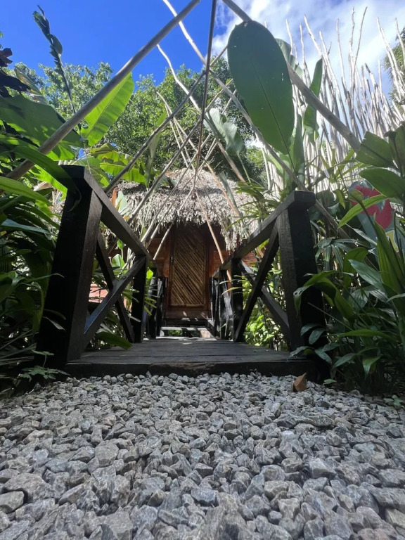 Sámana tropical in Samana, Dominican Republic