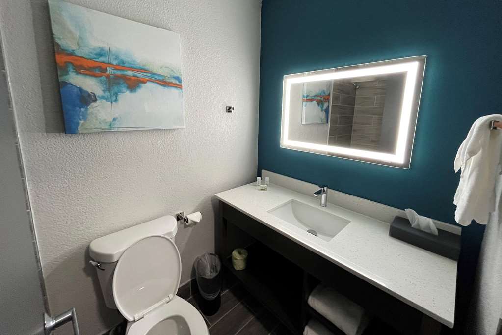 La Quinta Inn & Suites by Wyndham South Holland - photo 24