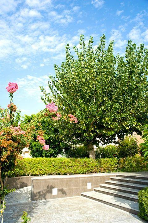 Alfa Hotel Apartments — Gerani