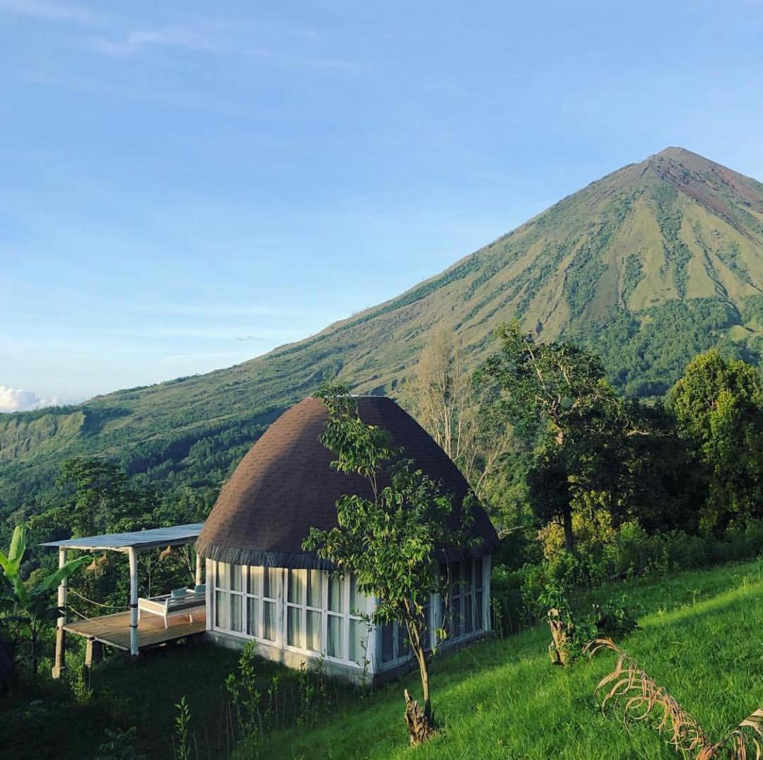 Manulalu Jungle — hotel in Bajawa