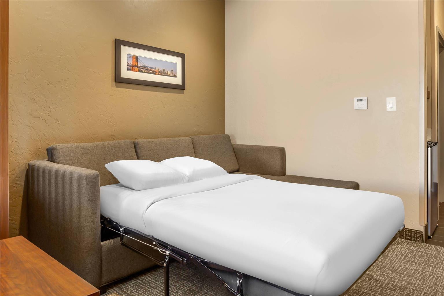 Comfort Suites Florence Cincinnati South - photo 21