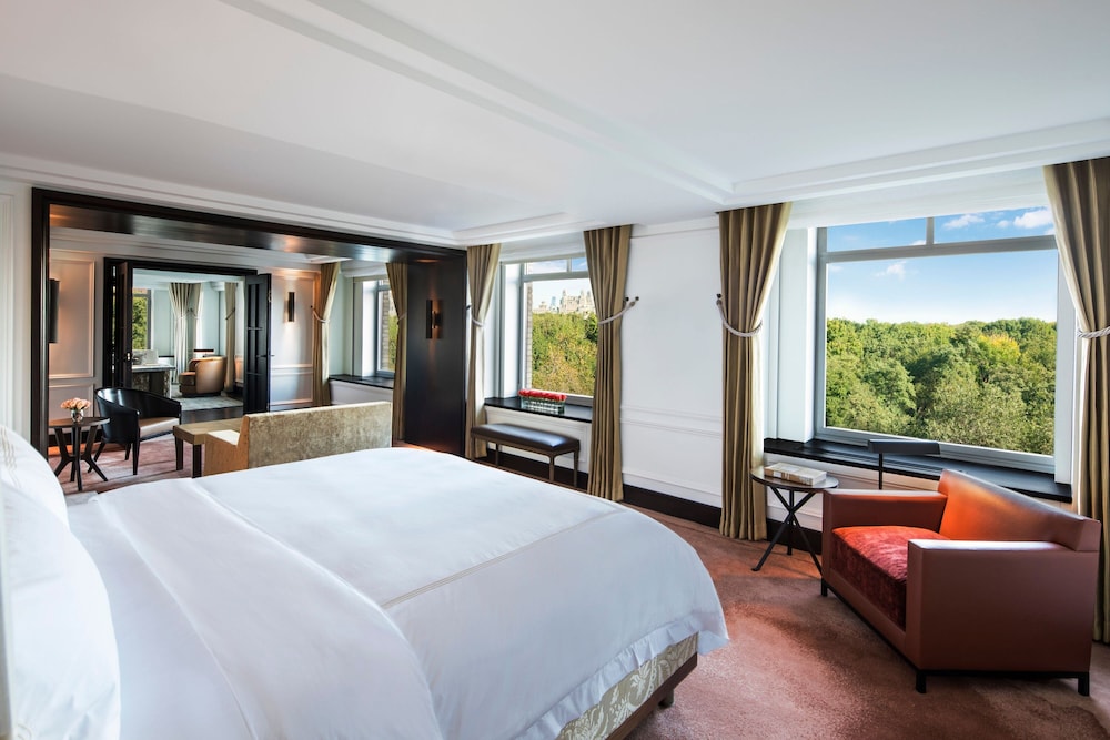The Ritz Carlton New York Central Park - photo 19