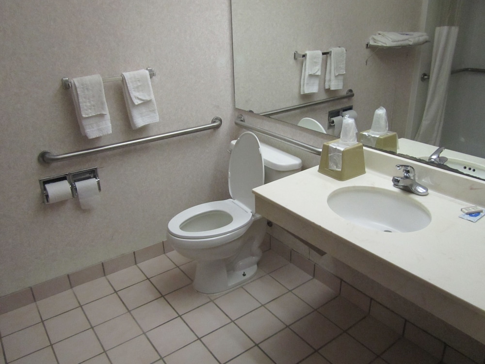 Executive Inn and Suites Wichita Falls - photo 5