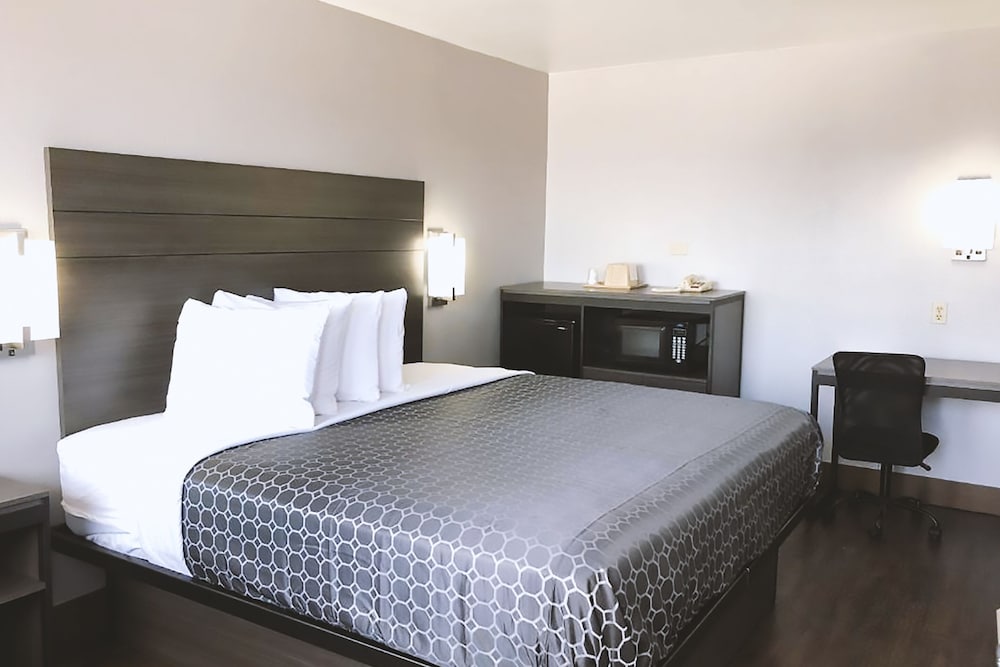 Americas Best Value Inn & Suites San Antonio Arena District - photo 15