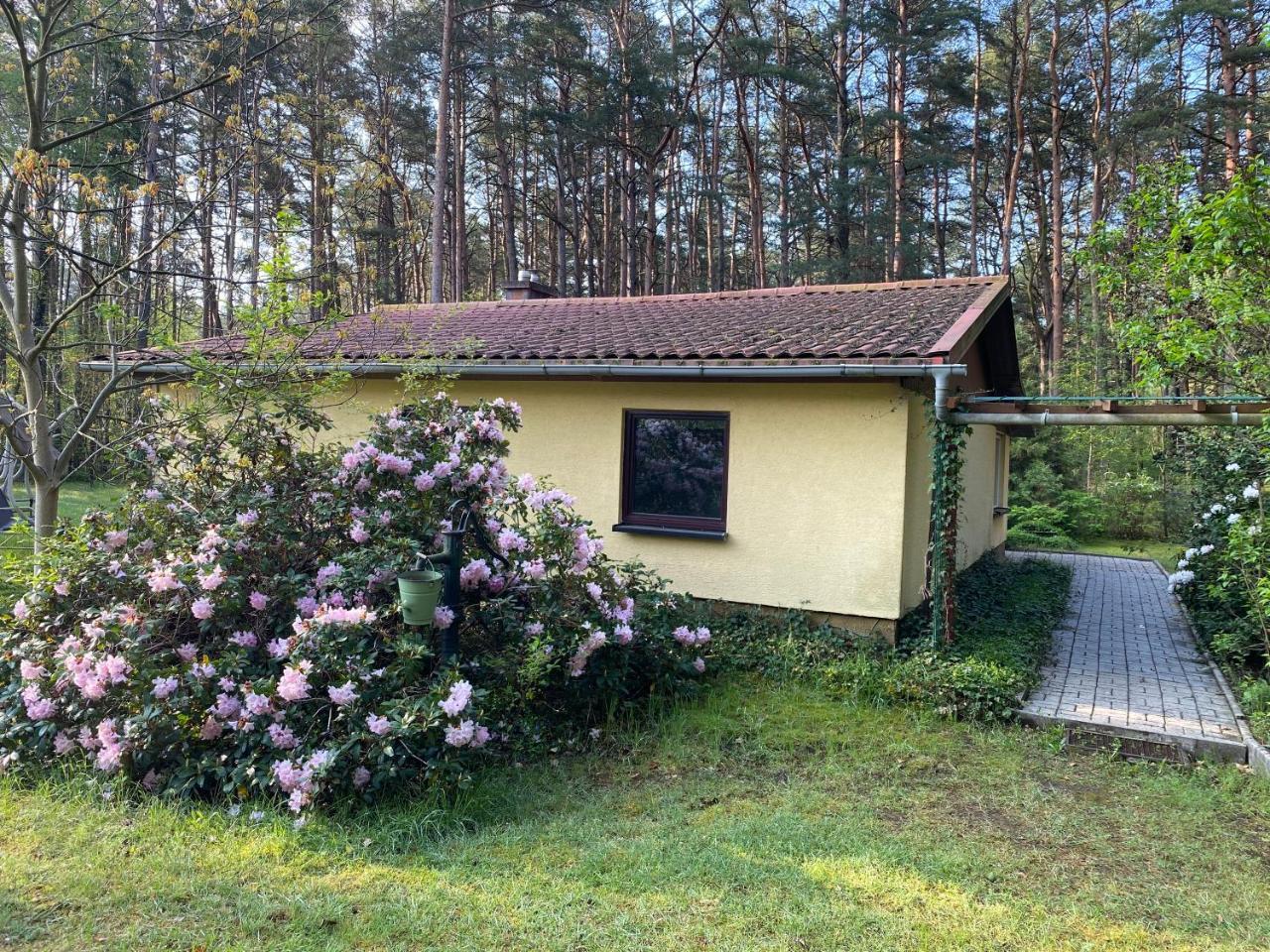 Ferienhaus Im Wald - last minute hotel in Borkwalde