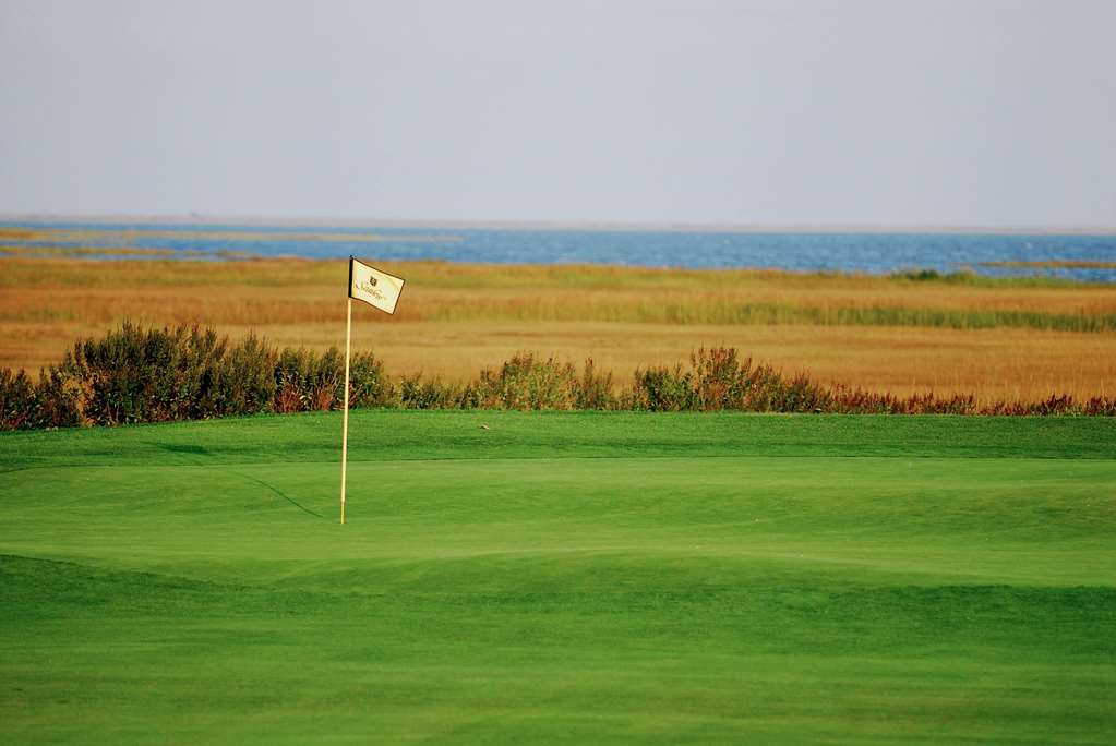 Seaview Hotel - photo 39