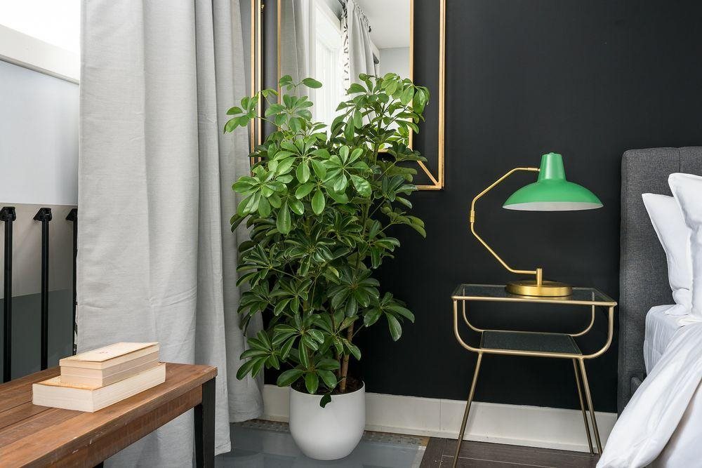 Hôtel Jazz - last minute hotel in Montreal