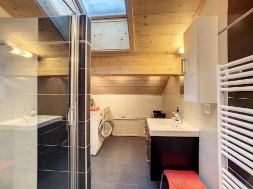 Asters 8 — Verbier — photo 3