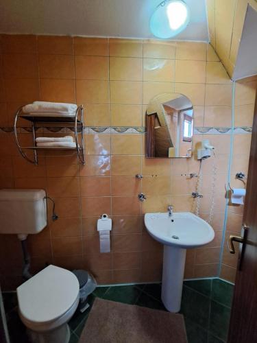 Hotel Pescarus Port Bicaz — Bicaz — photo 4