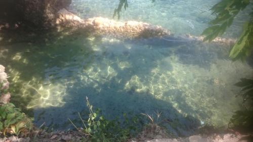 Blue Monkey Beach Cottages — Unknown City — photo 2