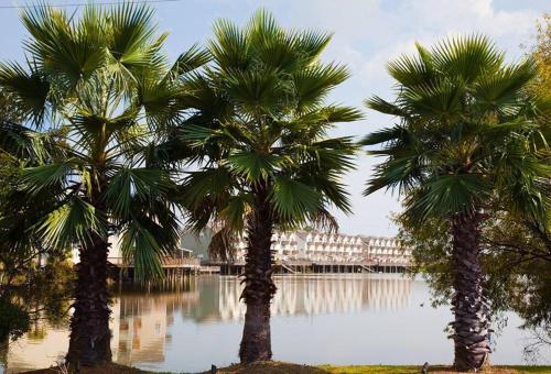 Scenic Carolina Waterfront Rentals Arco — 4-Star Luxury Hotel in Charleston, United States