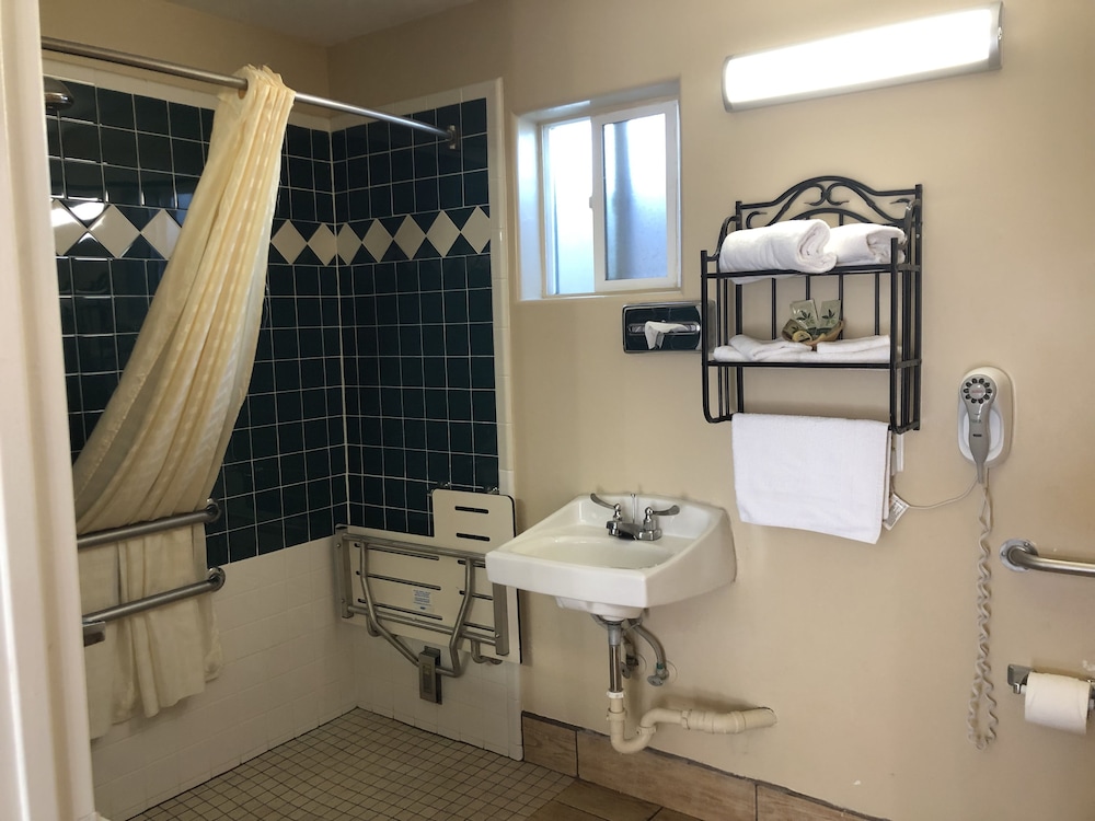 Holland Inn & Suites - photo 32