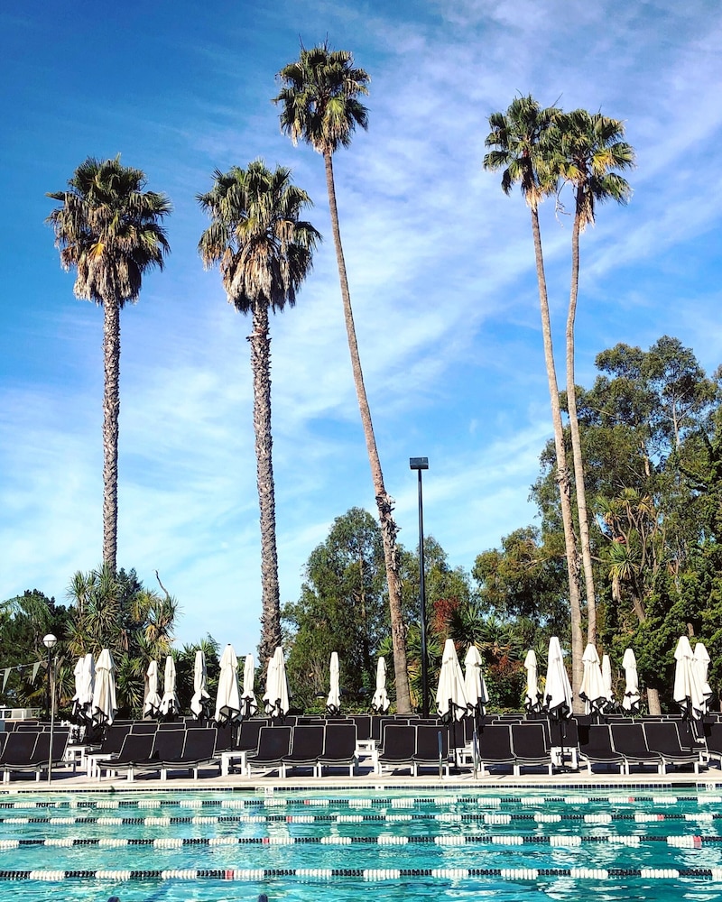 Claremont Club & Spa A Fairmont Hotel - photo 69