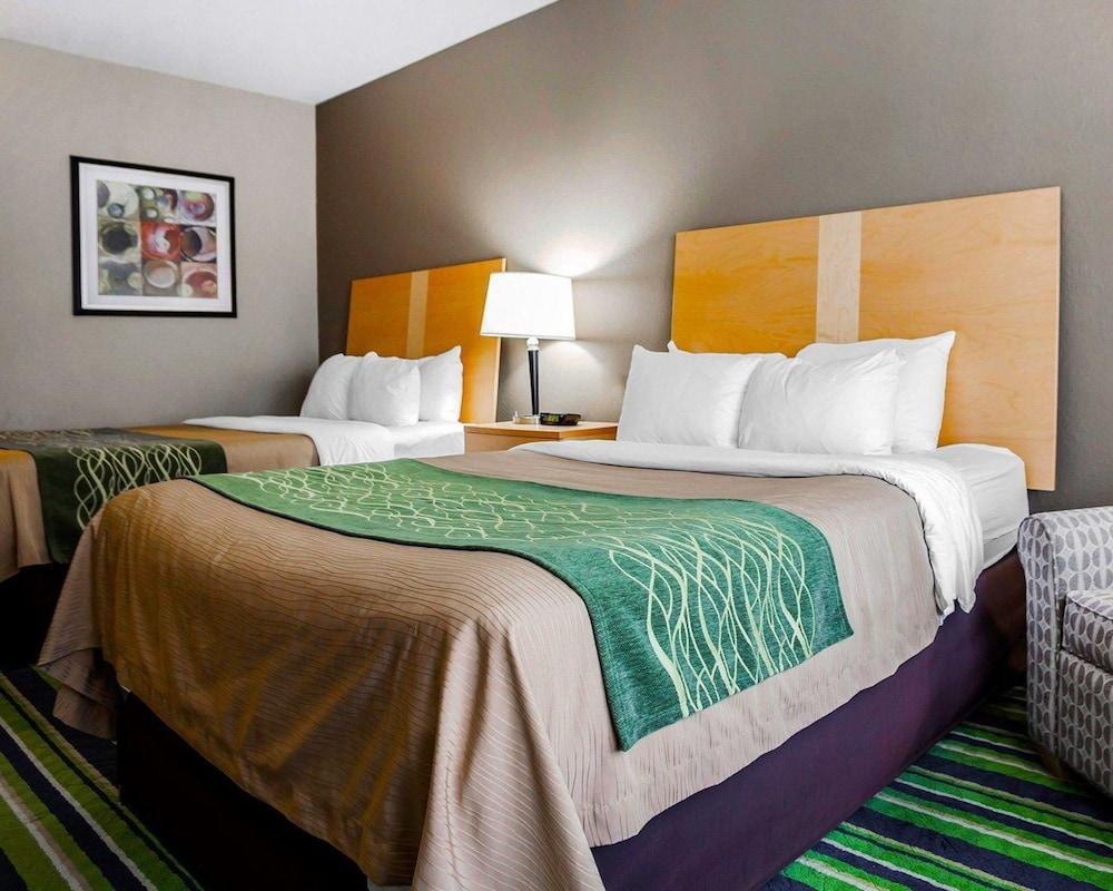 Comfort Inn Kansas City Airport - photo 9