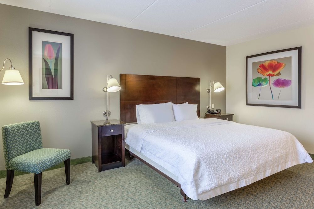 Hampton Inn Richmond South - photo 7