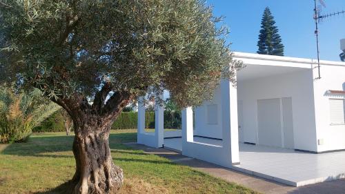 Ca Teresa in Oliva, Spain