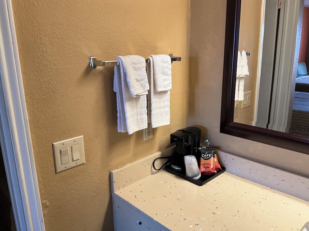 Executive Inn & Suites - photo 19
