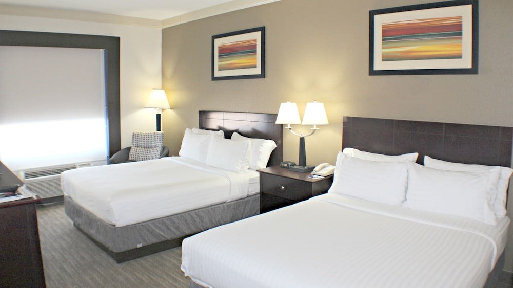 Holiday Inn Express & Suites Plainview an IHG Hotel - photo 4