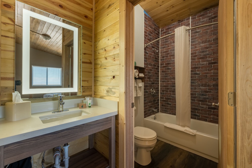 Great Sand Dunes Lodge - photo 17