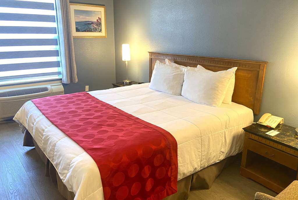 Ramada by Wyndham Los Angeles Koreatown West - photo 11
