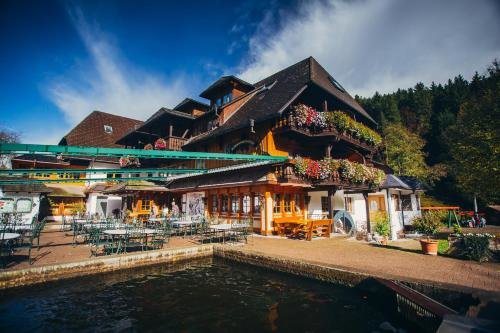 Hotel Tannenmühle — hotel in Grafenhausen