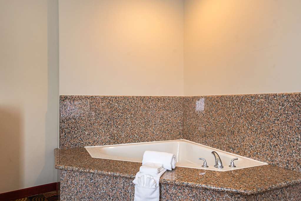 Comfort Suites Lake Charles - photo 24
