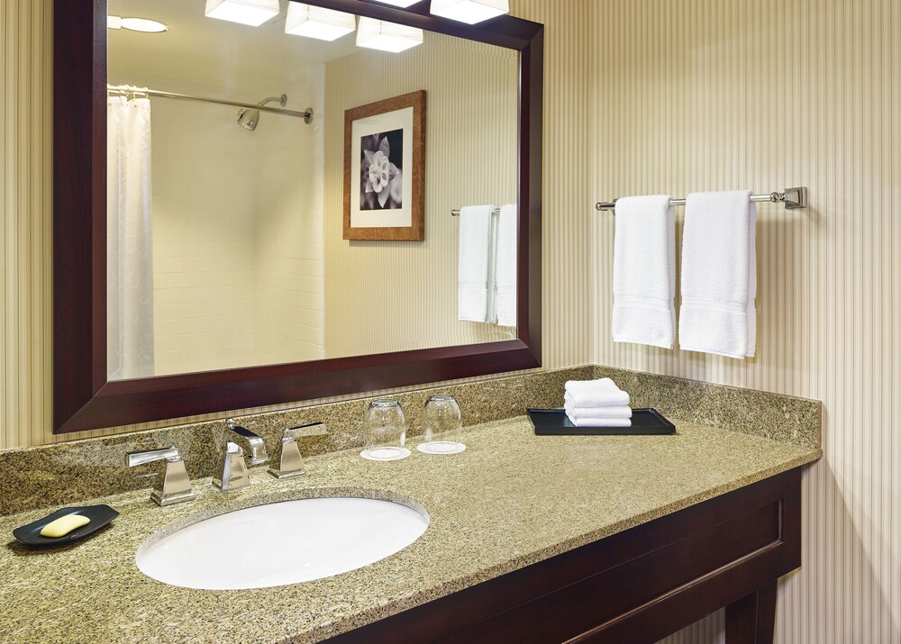 Sheraton Roanoke Hotel and Conference Center - photo 8