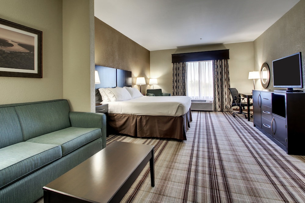 Holiday Inn Express Hotel & Suites Natchez South by IHG - photo 21
